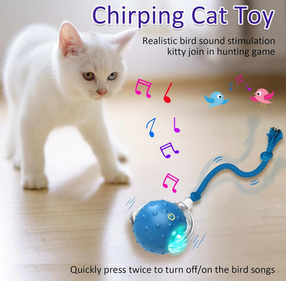 PurrBall™ – Interactive Cat Toy