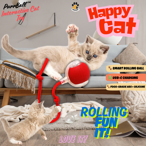 PurrBall™ – Interactive Cat Toy