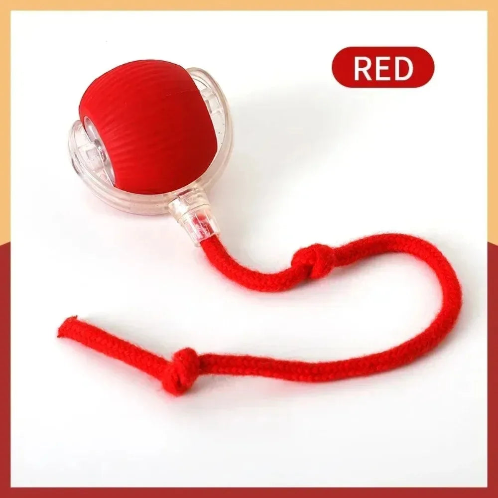 PurrBall™ – Interactive Cat Toy