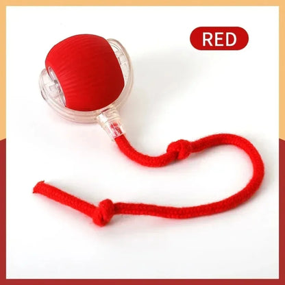 PurrBall™ – Interactive Cat Toy