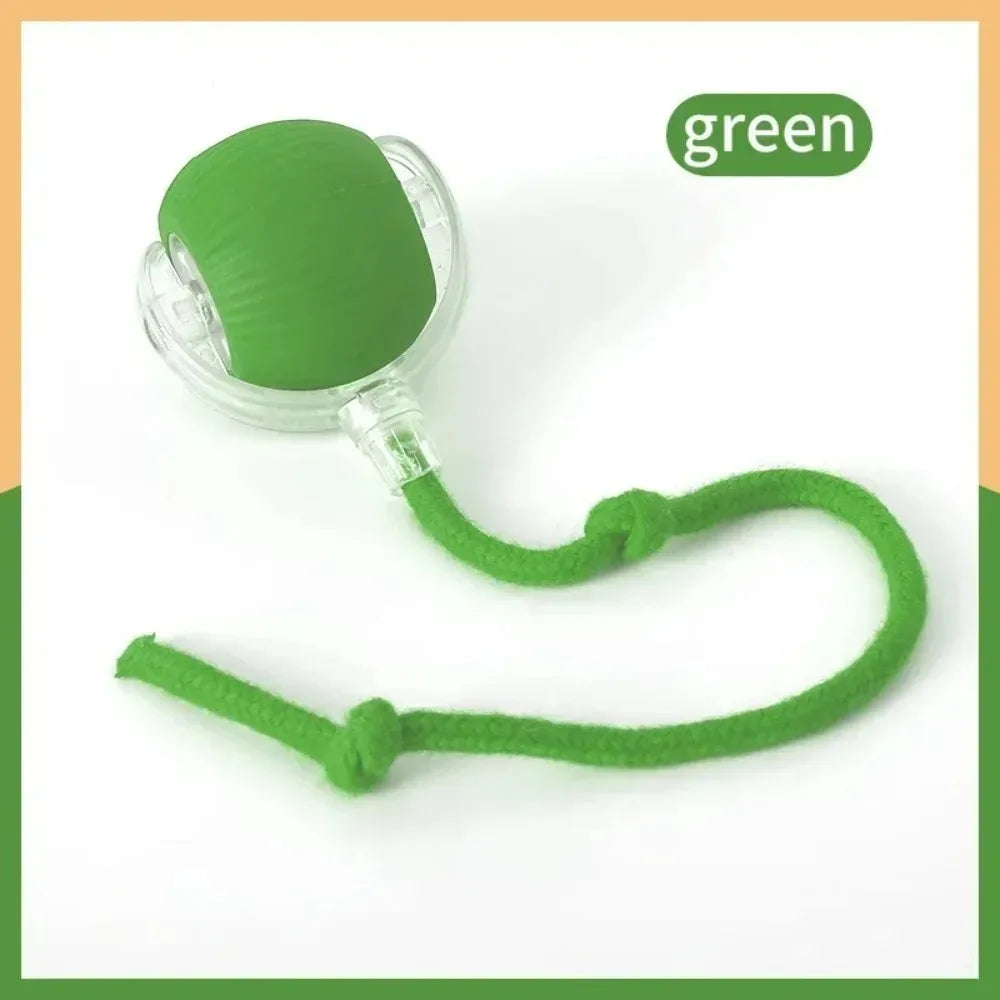PurrBall™ – Interactive Cat Toy