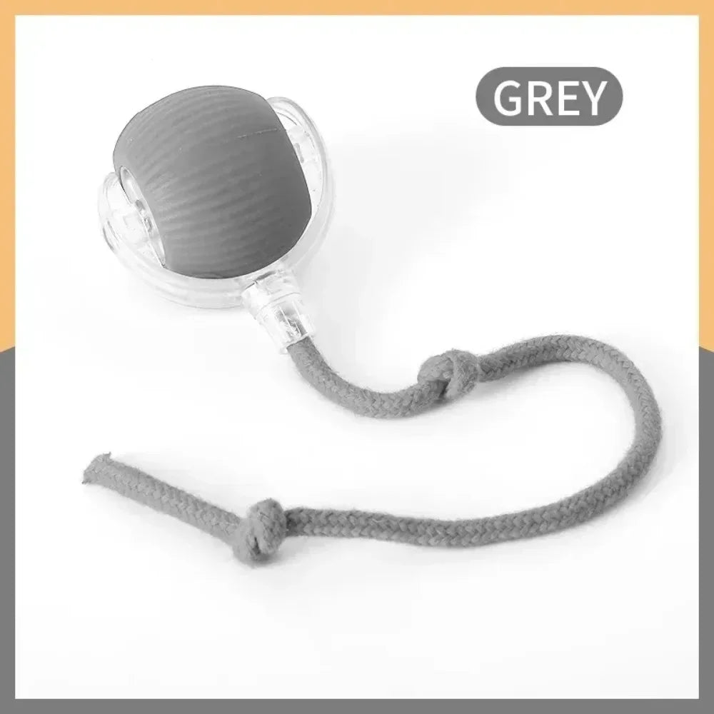 PurrBall™ – Interactive Cat Toy