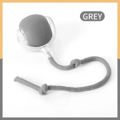 PurrBall™ – Interactive Cat Toy